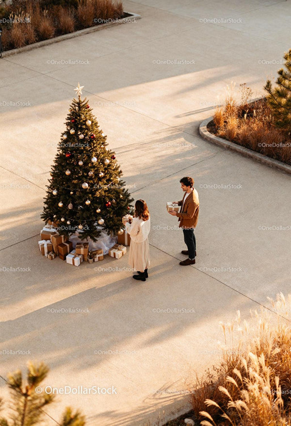 Couple Placing Gifts Under Outdoor Christmas Tree