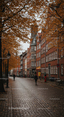 Charming Autumn Street Scene with Old Town Architecture and Orange Foliage