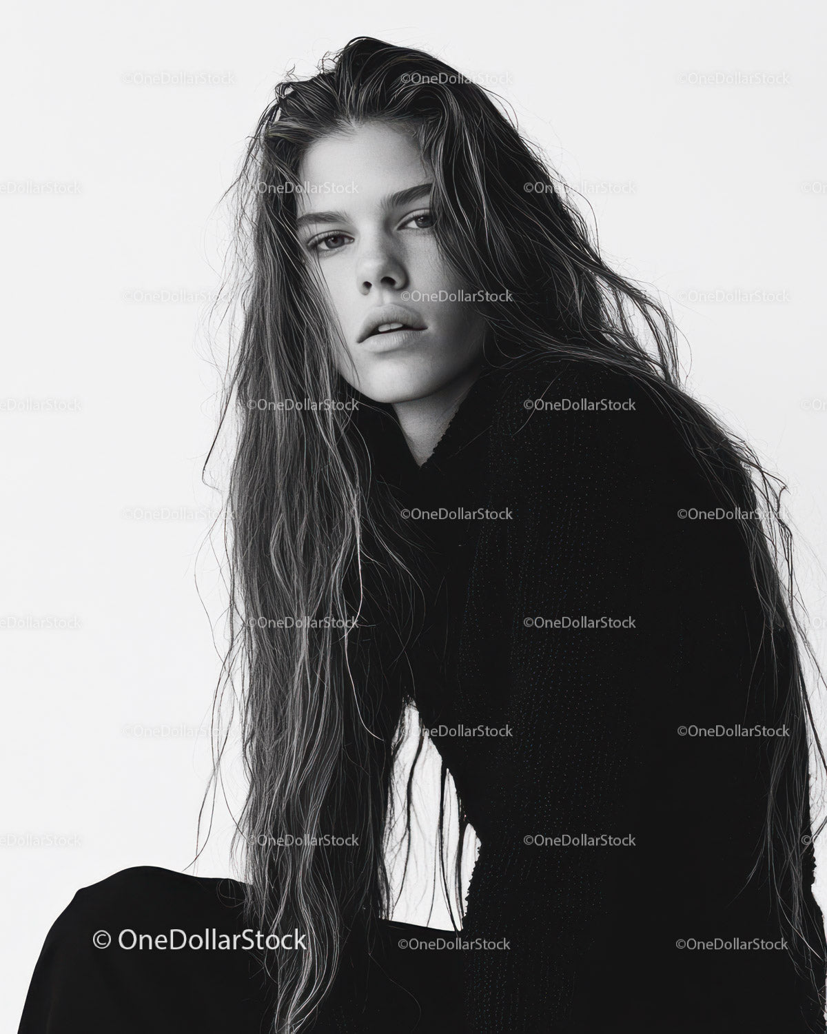 Fashionable Black and White Portrait of a Young Woman with Long Hair