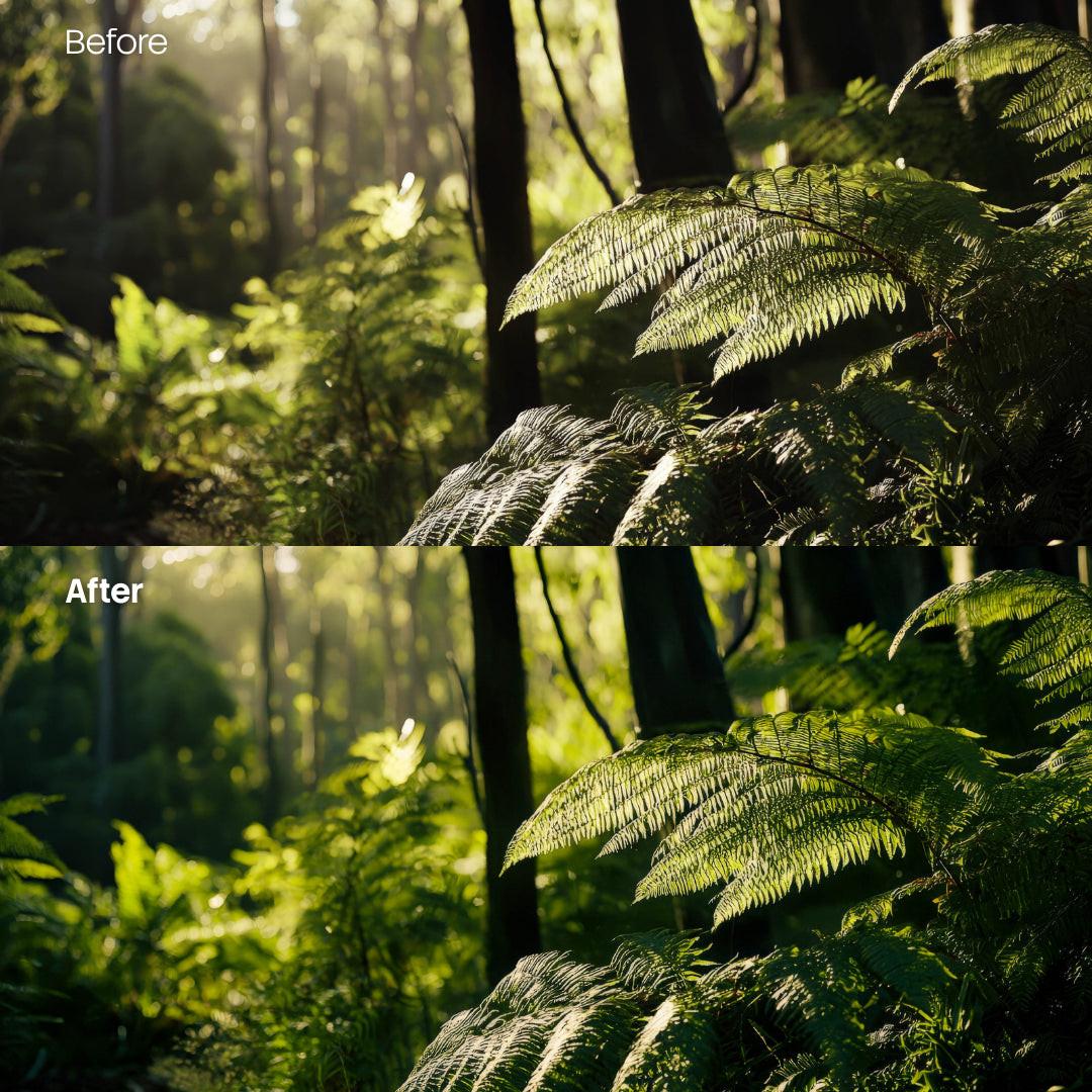 outdoor photography edit with Forest Glow Soft Lightroom presets