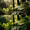 outdoor photography edit with Forest Glow Soft Lightroom presets