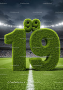 Grass-covered number 19 on a soccer field goal line