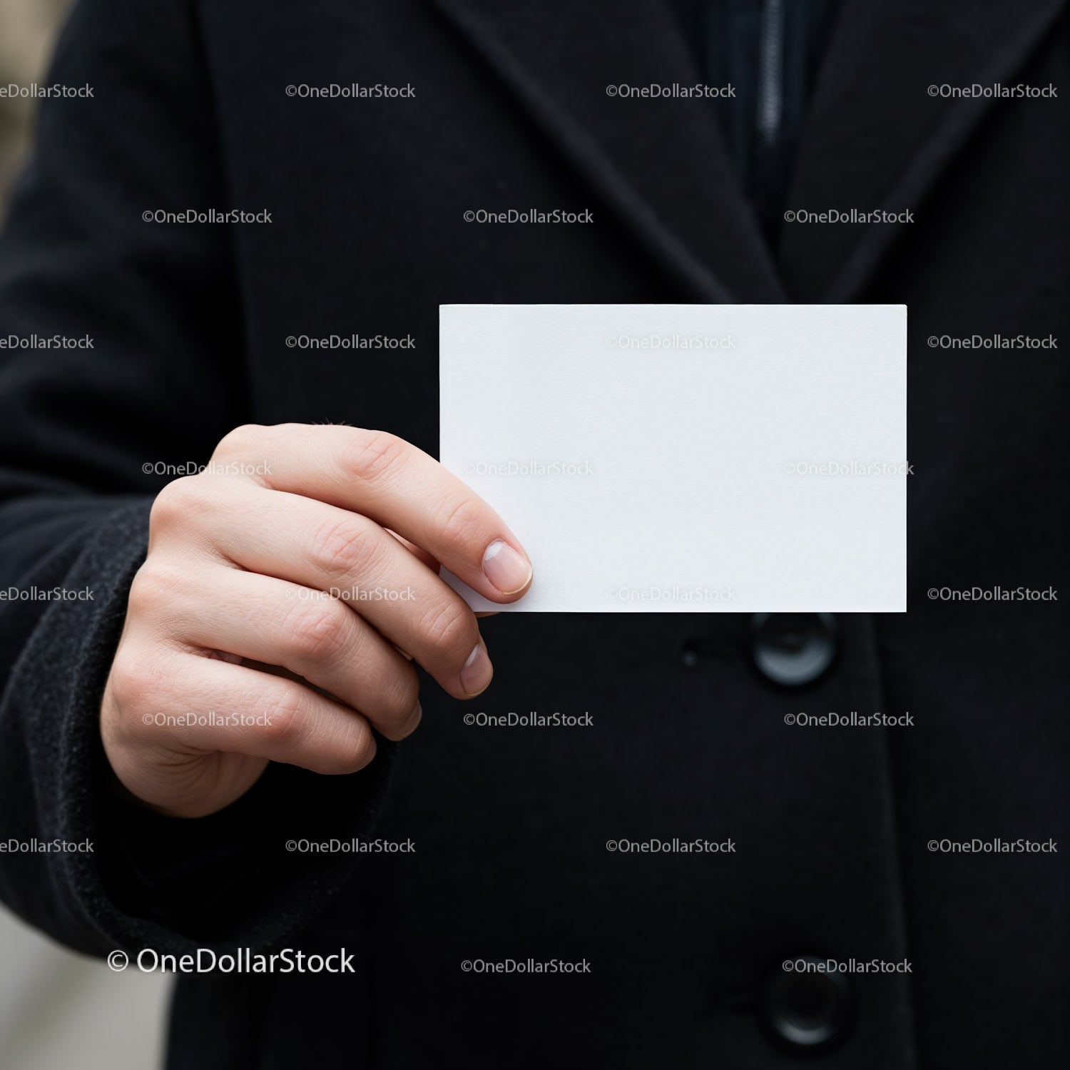 Person Holding Blank White Business Card in Black Coat