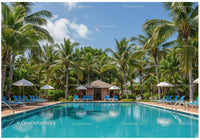 Tropical Resort with Swimming Pool Surrounded by Palm Trees and Sunlit Sky