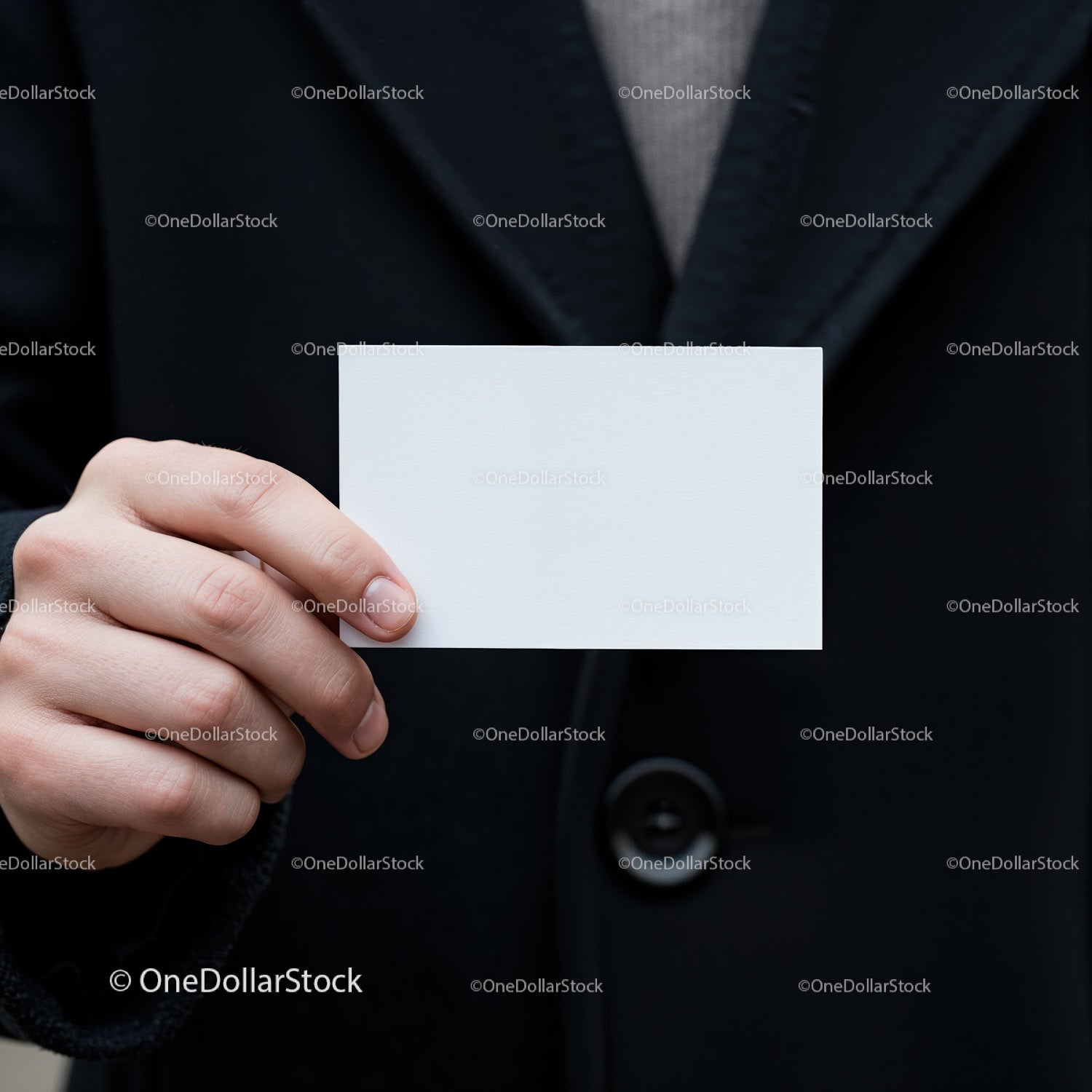 Person Holding Blank White Business Card in Black Coat