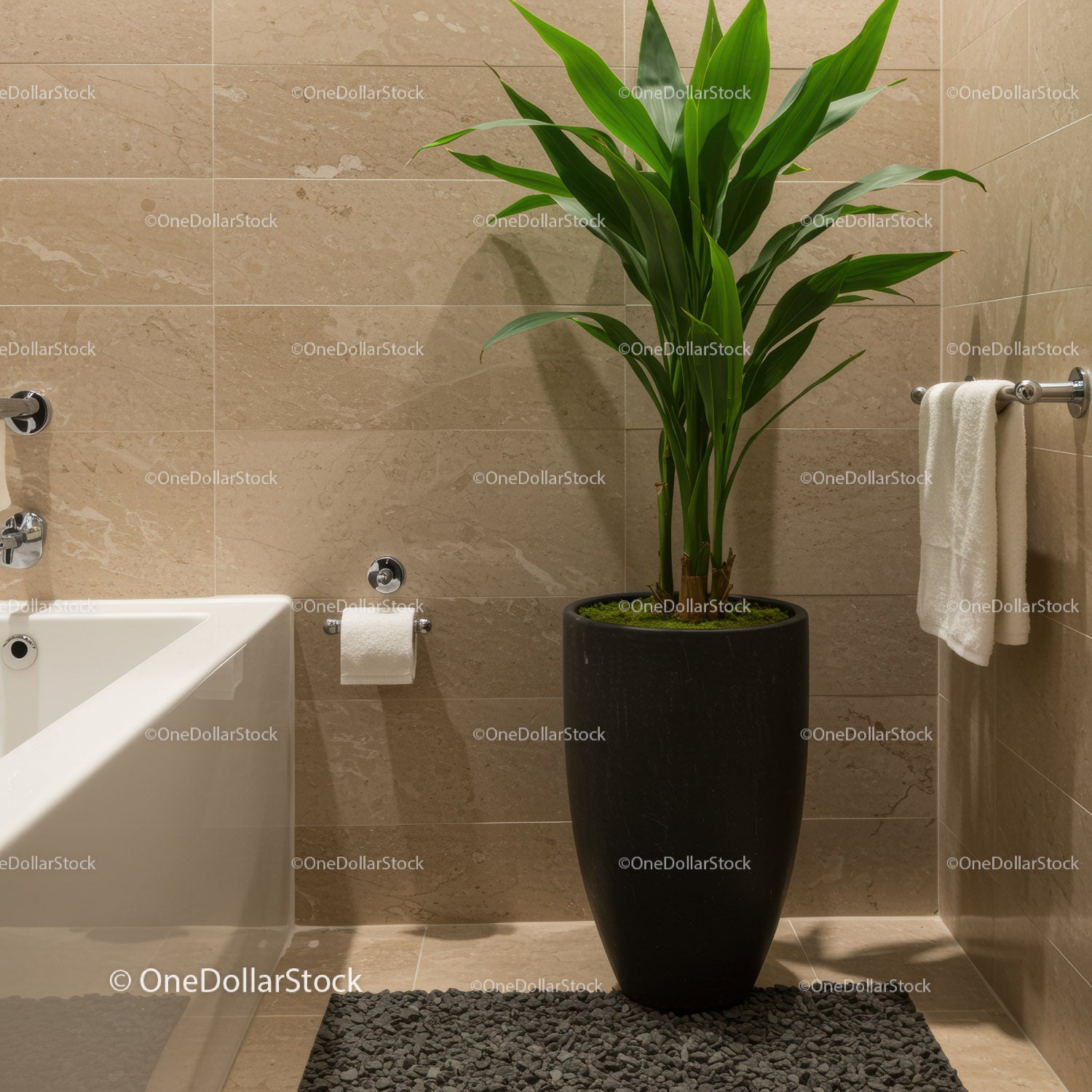 Tall Green Indoor Plant in Modern Bathroom Decor