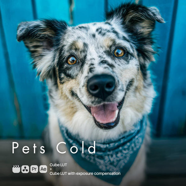 Pets Cold (2 LUTs)