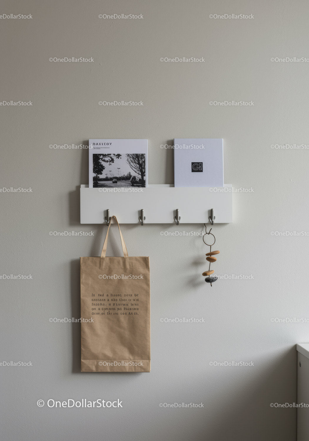 Minimalist Wall Organizer with Hooks and Decorative Accents
