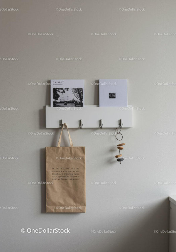 Minimalist Wall Organizer with Hooks and Decorative Accents