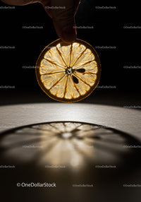 Hand Holding Translucent Lemon Slice with Shadow
