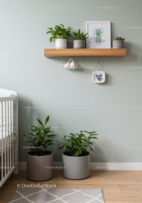 Modern Nursery Decor with Green Plants and Playful Animal Art
