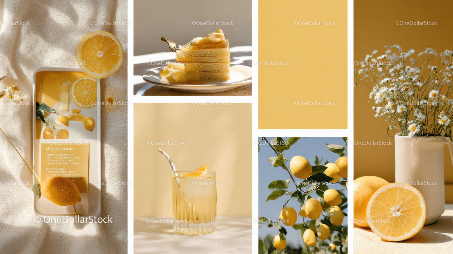 Fresh Lemon and Chamomile Flowers with Lemonade and Cake