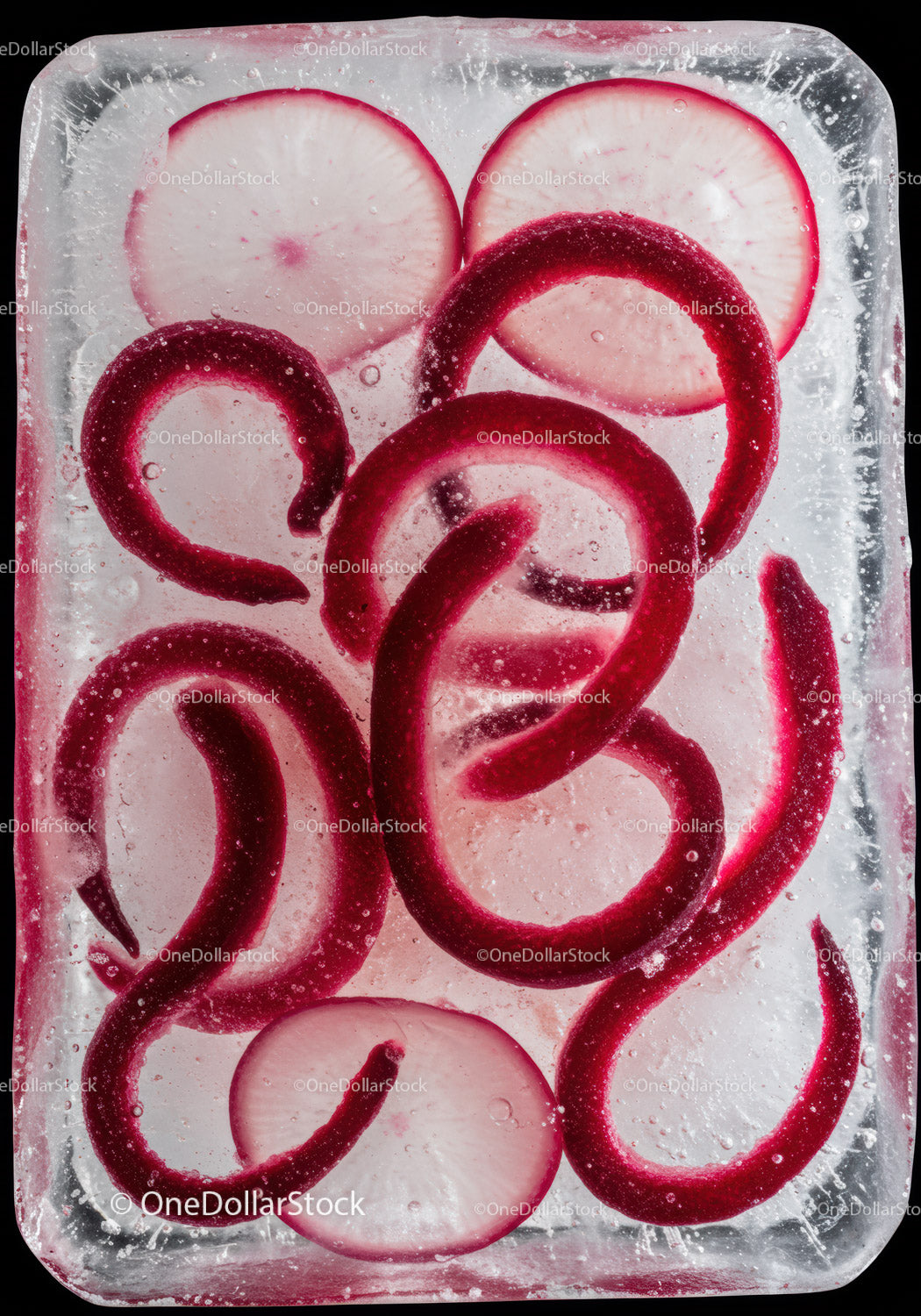 Radish slices frozen inside a clear ice block