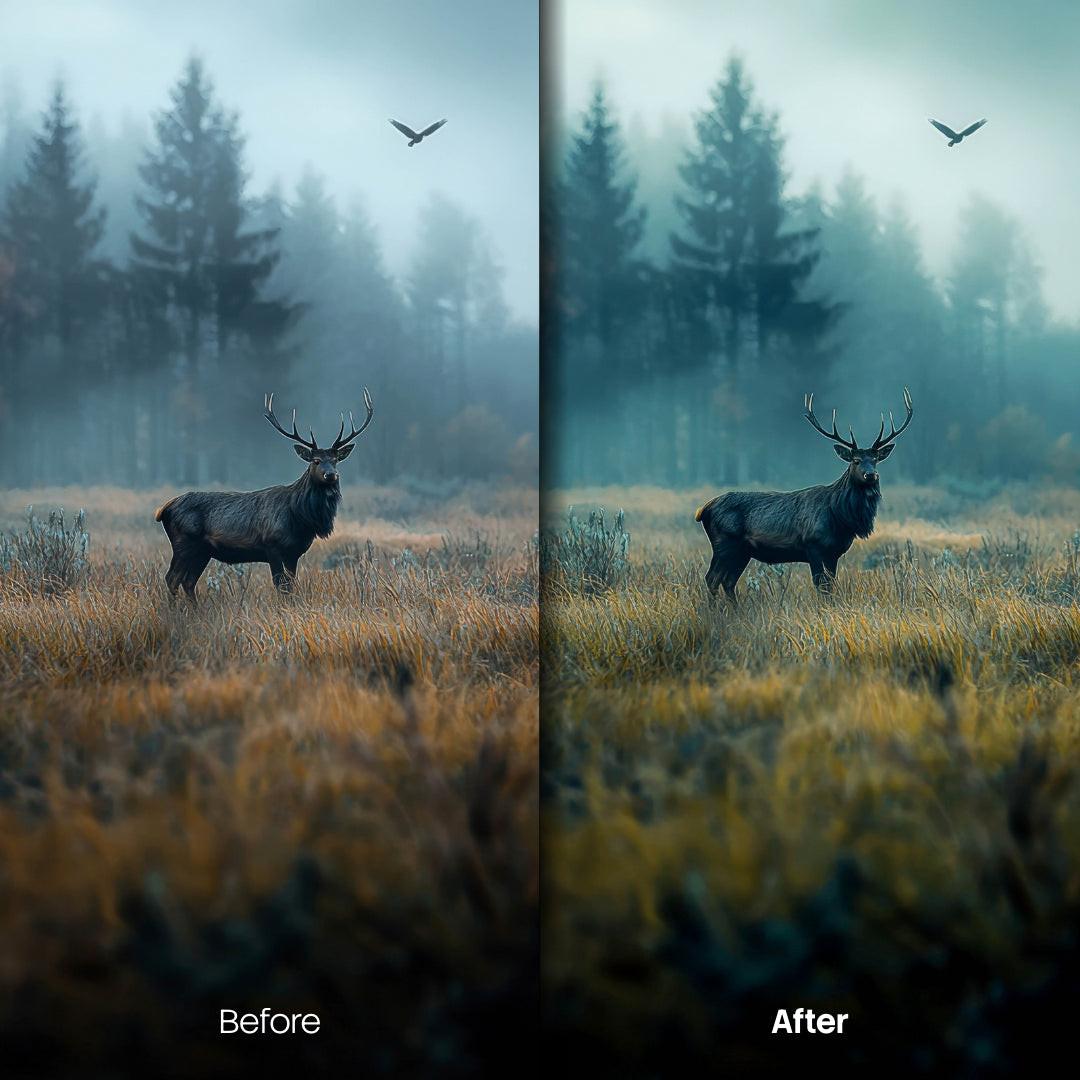Before and after Forest Glow Lightroom preset edit