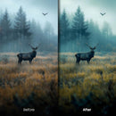 Before and after Forest Glow Lightroom preset edit