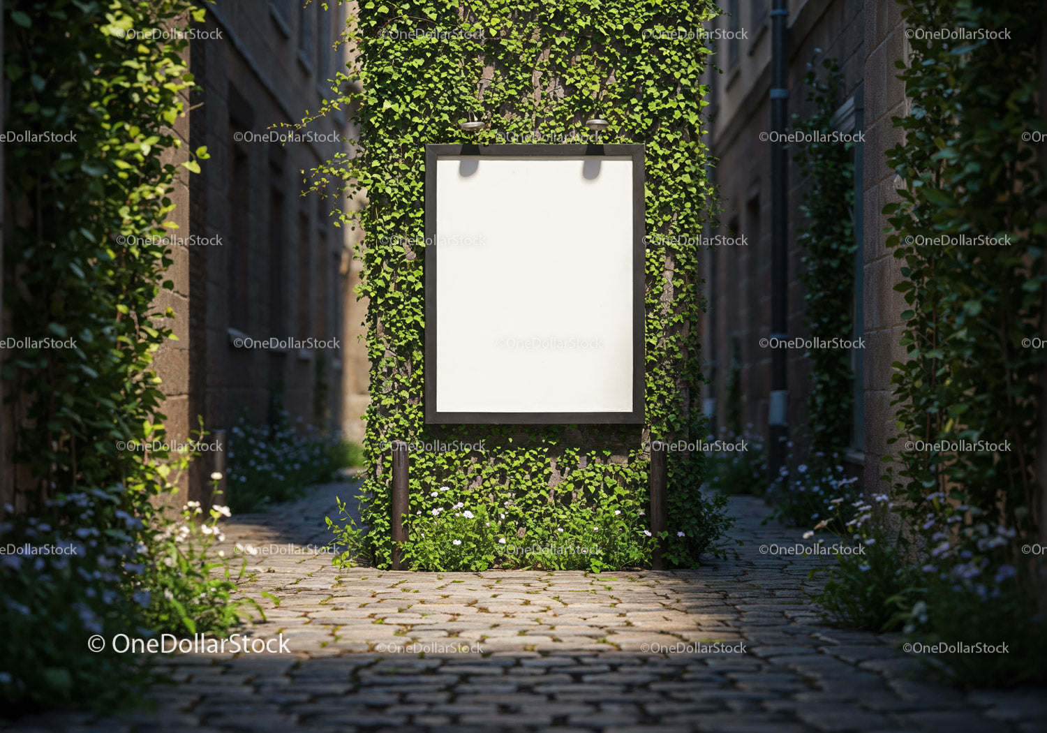Blank Signboard Surrounded by Green Vines on Stone Path