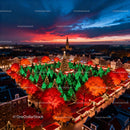 Vibrant Christmas Tree Market Under Dramatic Sunset Sky
