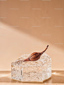 Dry seed pod resting on a melting ice cube