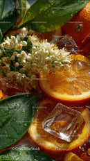 Vibrant Orange Slices with Ice Cubes and Fresh Green Leaves