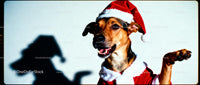 Happy dog in Santa outfit waving paw indoors