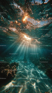 Enchanting Underwater Scene with Sunlight and Bubbles