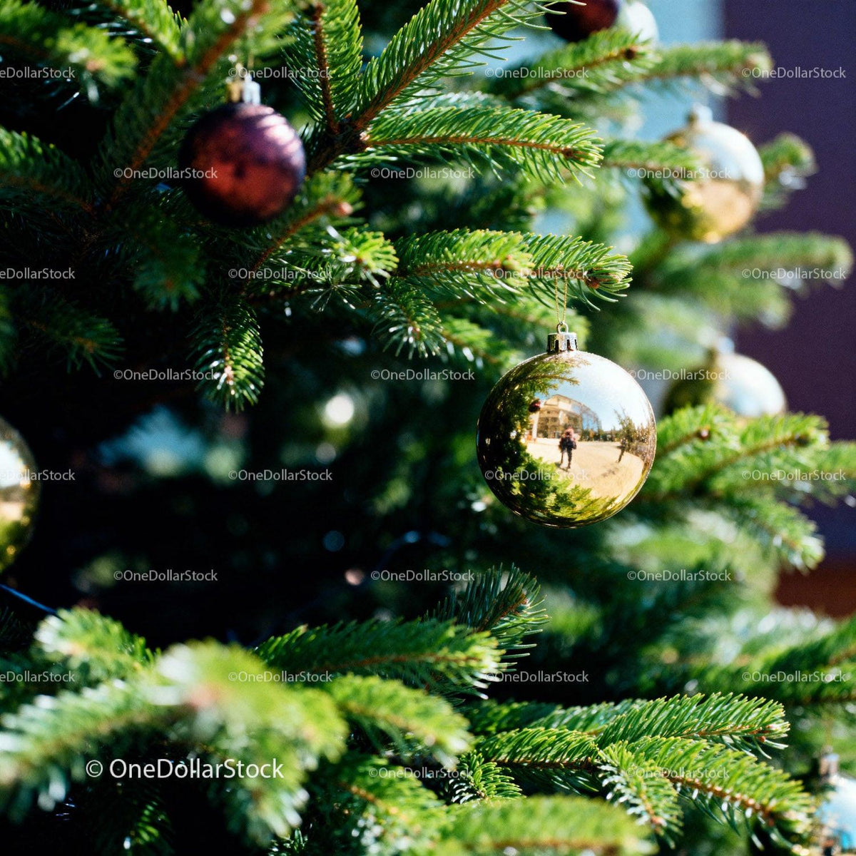Close-up of shiny Christmas ornaments on green fir tree