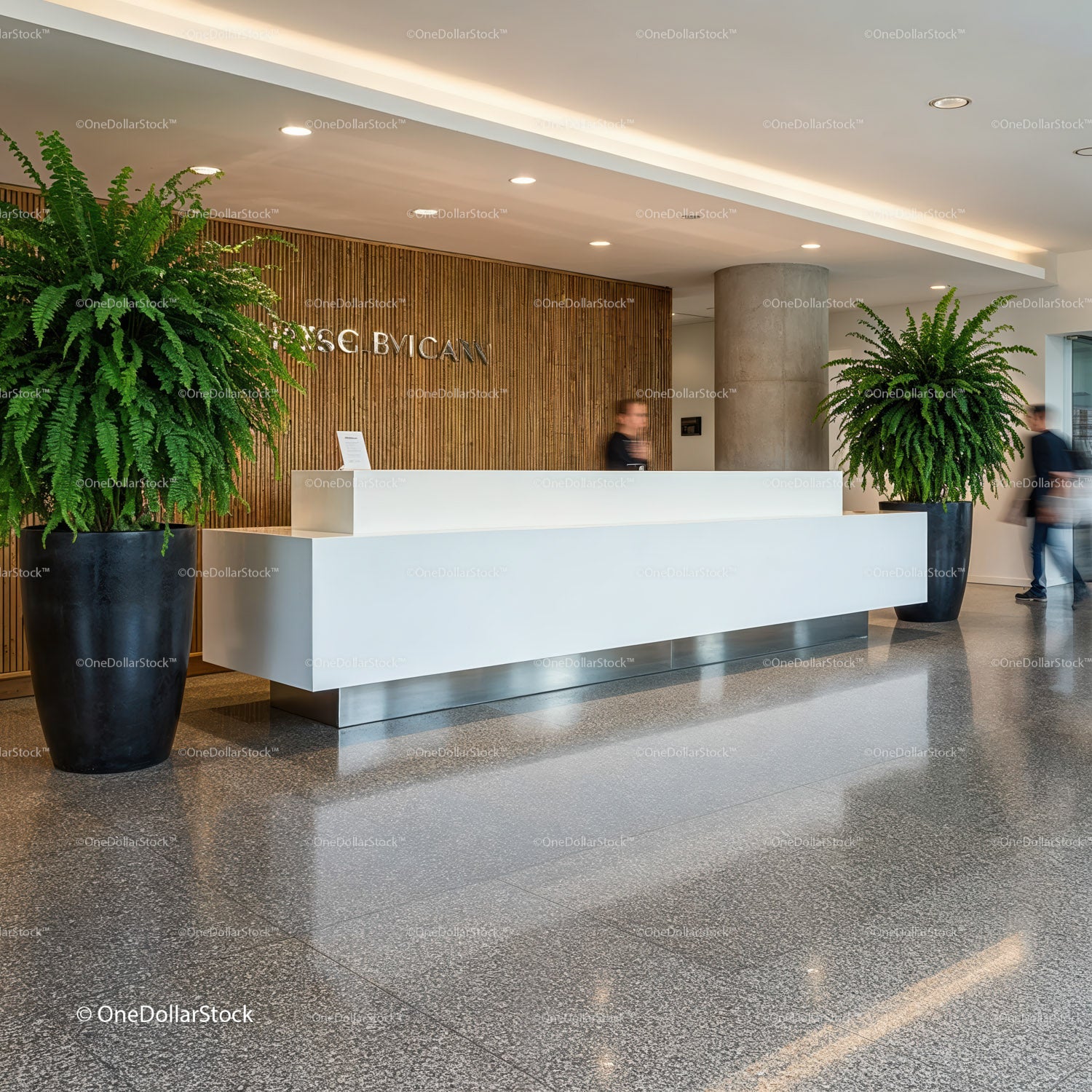 Modern Reception Area with Clean White Desk and Green Plants