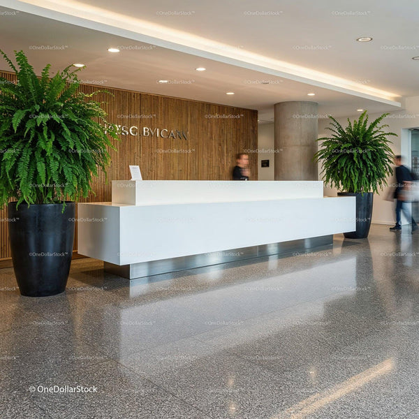 Modern Reception Area with Clean White Desk and Green Plants JPG Mockup Image