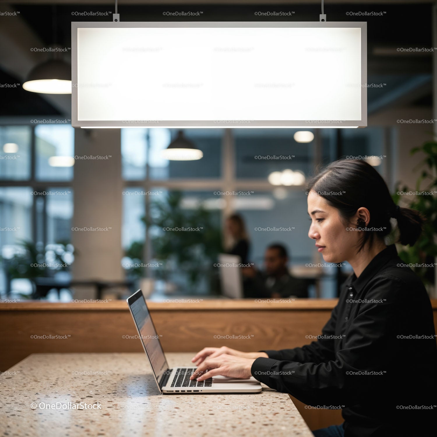 Focused woman working on laptop in modern co working space