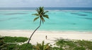 Lonely Traveler on a Tropical Beach Under a Palm Tree