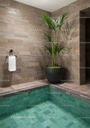 Elegant Indoor Pool with Tropical Plant and Modern Tiling