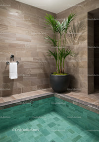 Elegant Indoor Pool with Tropical Plant and Modern Tiling