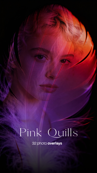 Pink Quills Photo Overlays preview