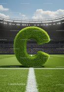 Green Grass Letter C on Soccer Stadium Field