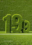 Green Grass Sculpted Numbers Forming 199 on Field
