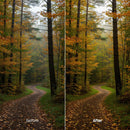 Before and after Forest Warm Glow LUT Pack effect