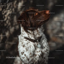 Brown and White Spaniel Dog Portrait in Nature