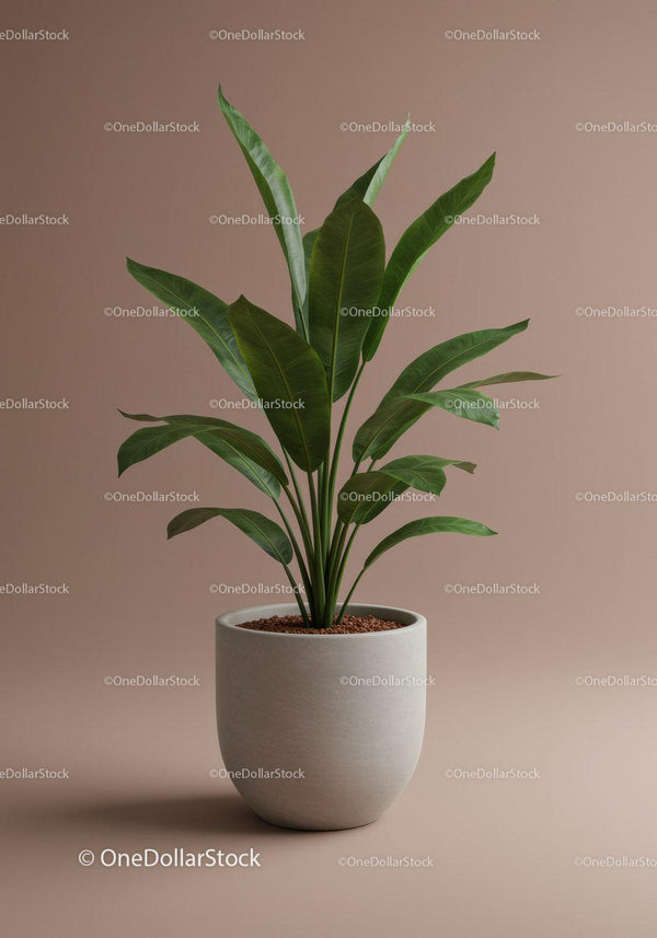 Elegant Green Houseplant in Modern Minimalist Pot for Indoor Decor