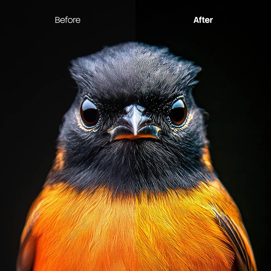 animal photography edit with Animal Portraits Lightroom presets