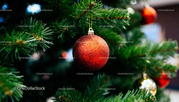Red Glitter Christmas Ornament Hanging on Pine Tree