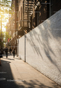 City Sidewalk with Pedestrians and Tree Shadows