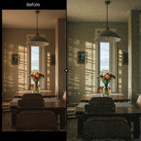 Grainy Analog XMP presets color grading preview