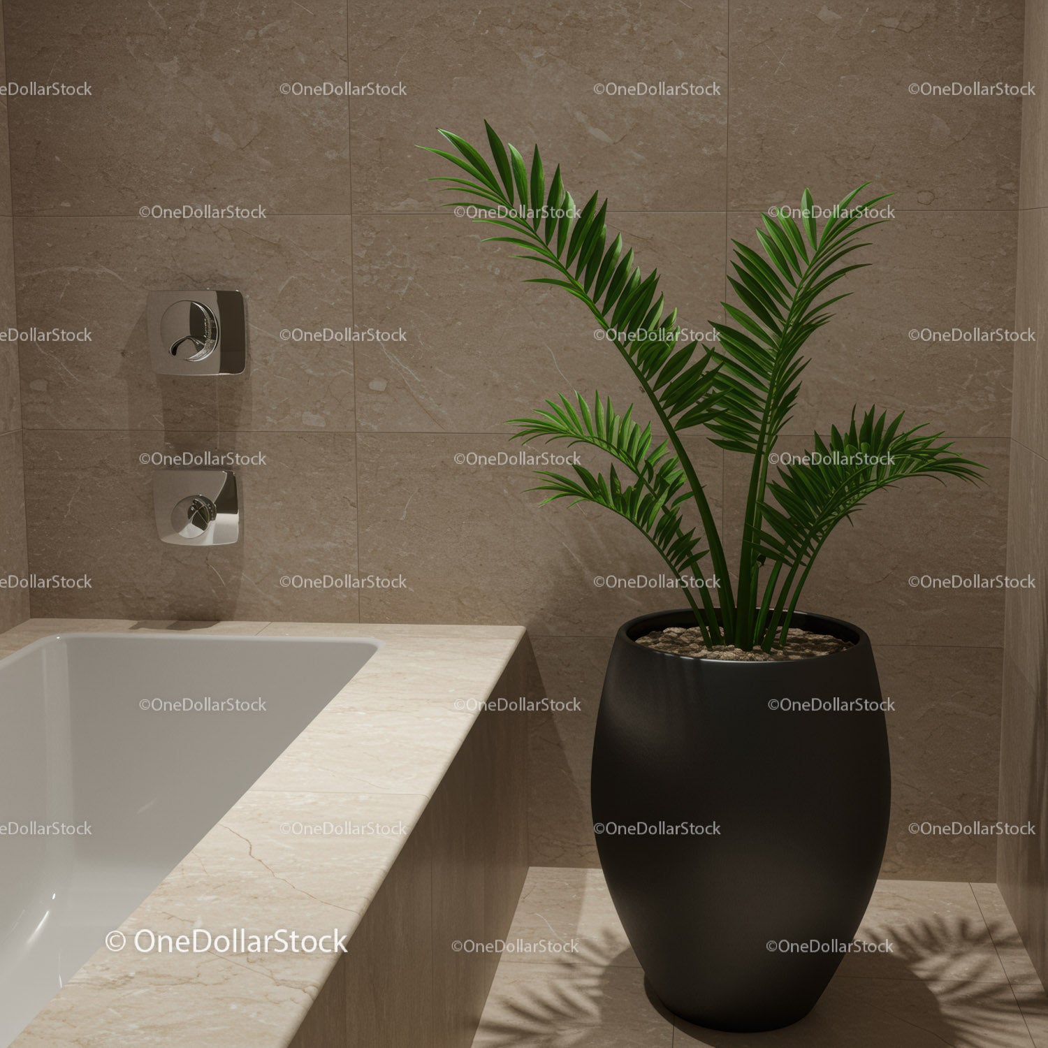 Green Tropical Palm Plant in Stylish Black Pot in Modern Bathroom