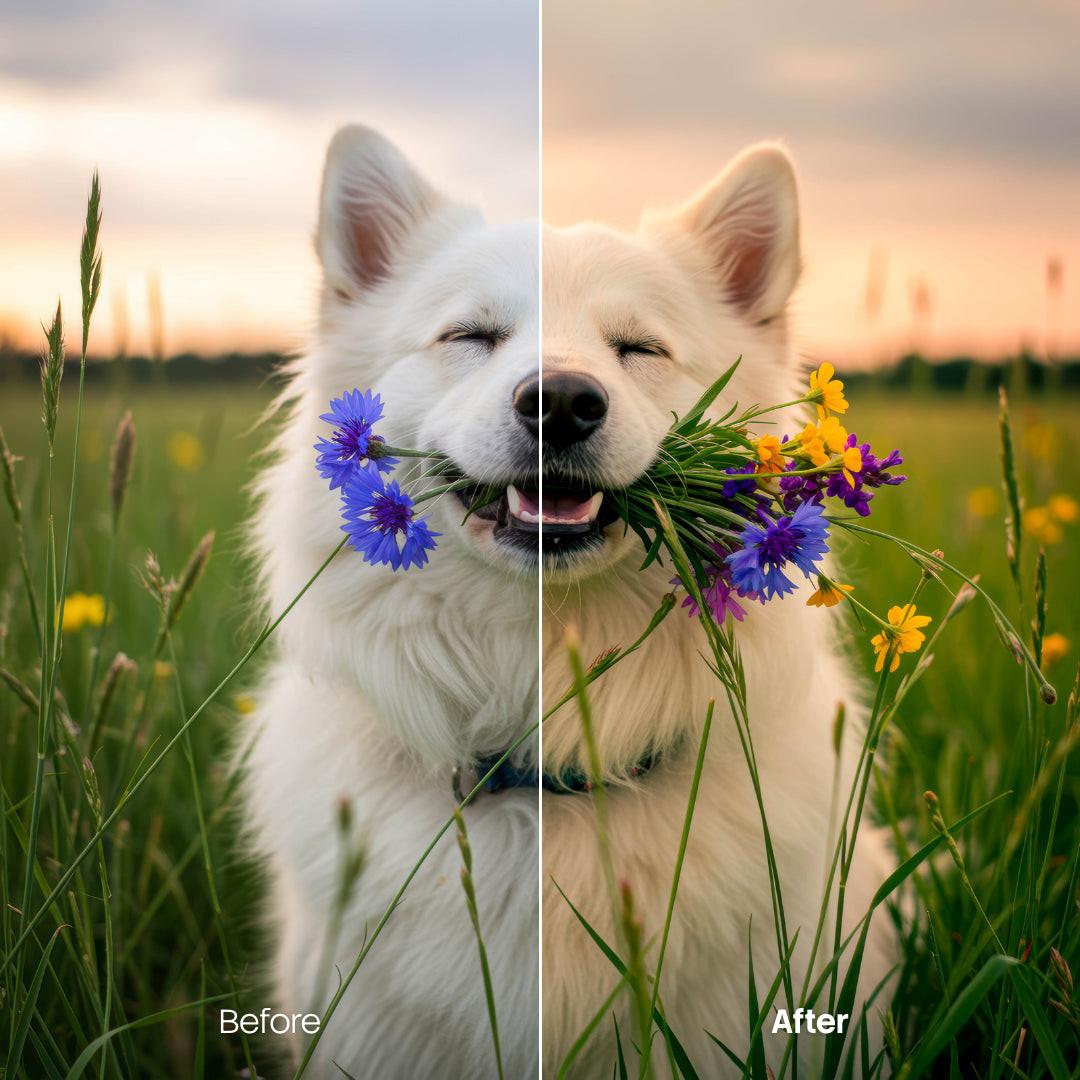 Before and after Sunset Lightroom preset edit