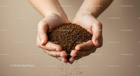 Hands gently holding a pile of coarse soil granules