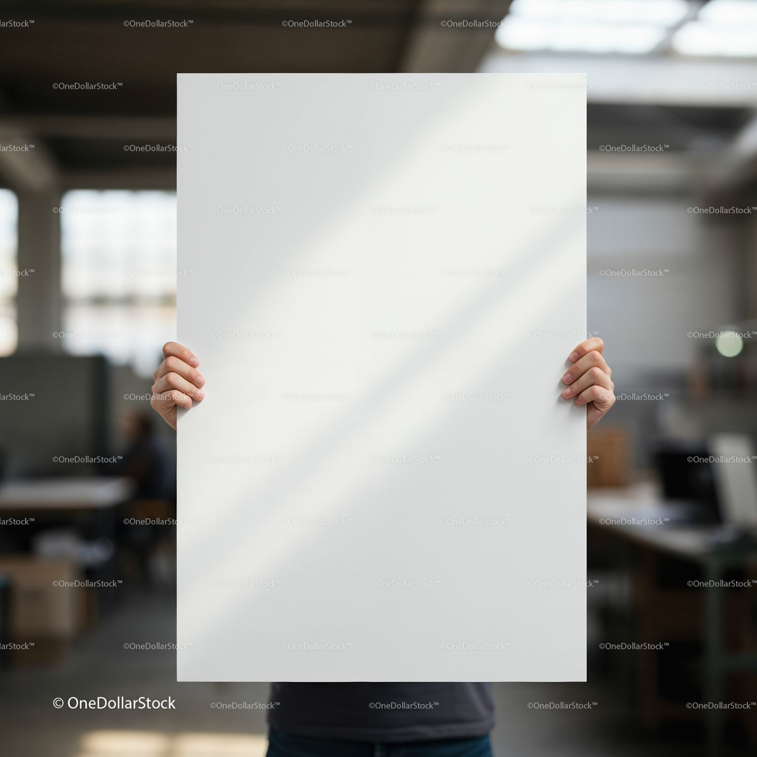 Person Holding Blank White Poster in Bright Office Space