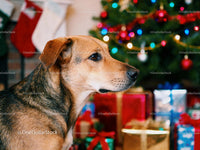 Calm dog sitting near decorated Christmas tree and gifts