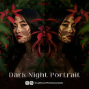 Dark Night Portrait Lightroom presets cover preview