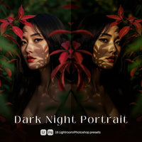 Dark Night Portrait Lightroom presets cover preview