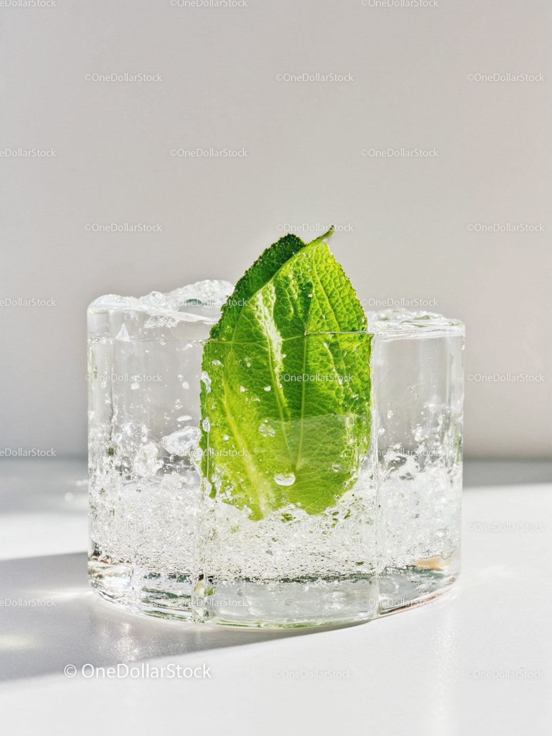 Refreshing sparkling water with fresh green mint leaf
